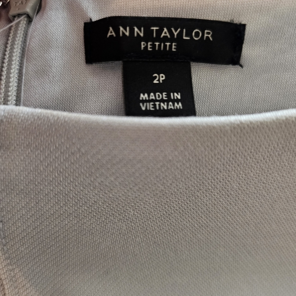 Ann Taylor Grey Seamed Flare Dress in 2P Spring/Summer Dress - Picture 7 of 9
